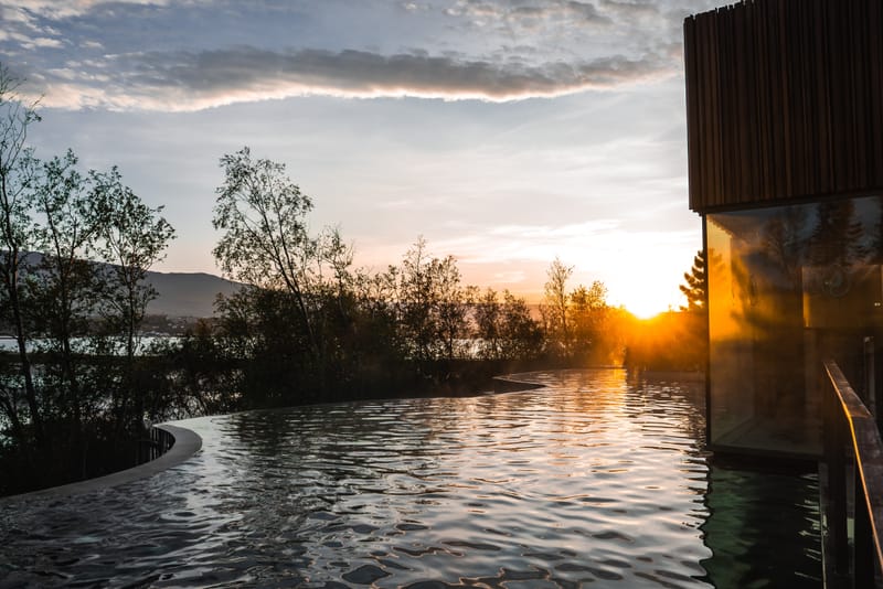 Forest Lagoon geothermal pool surrounded by forest with fjord views