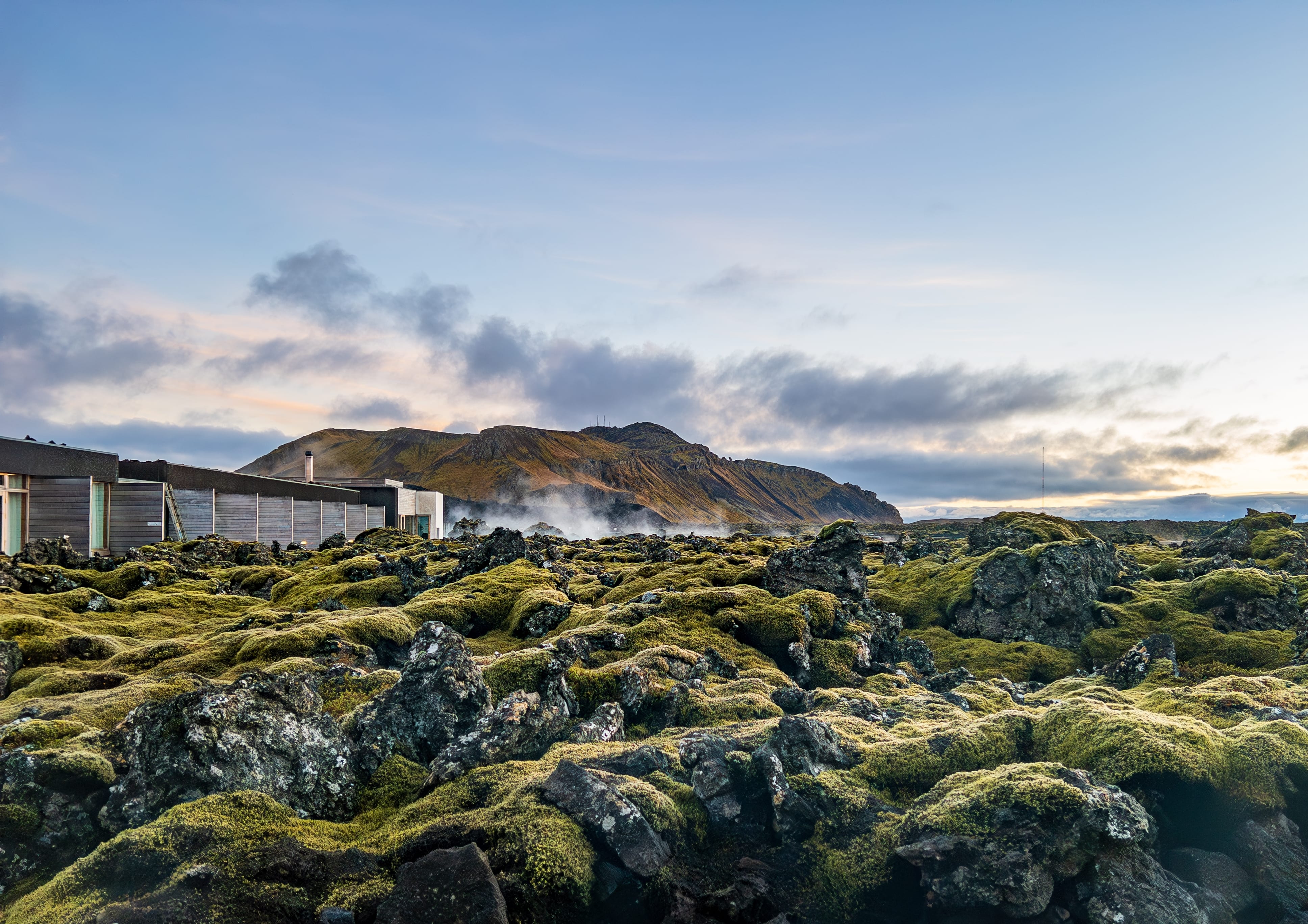 Mossy landscape at Silica Hotel lagoon in Iceland
