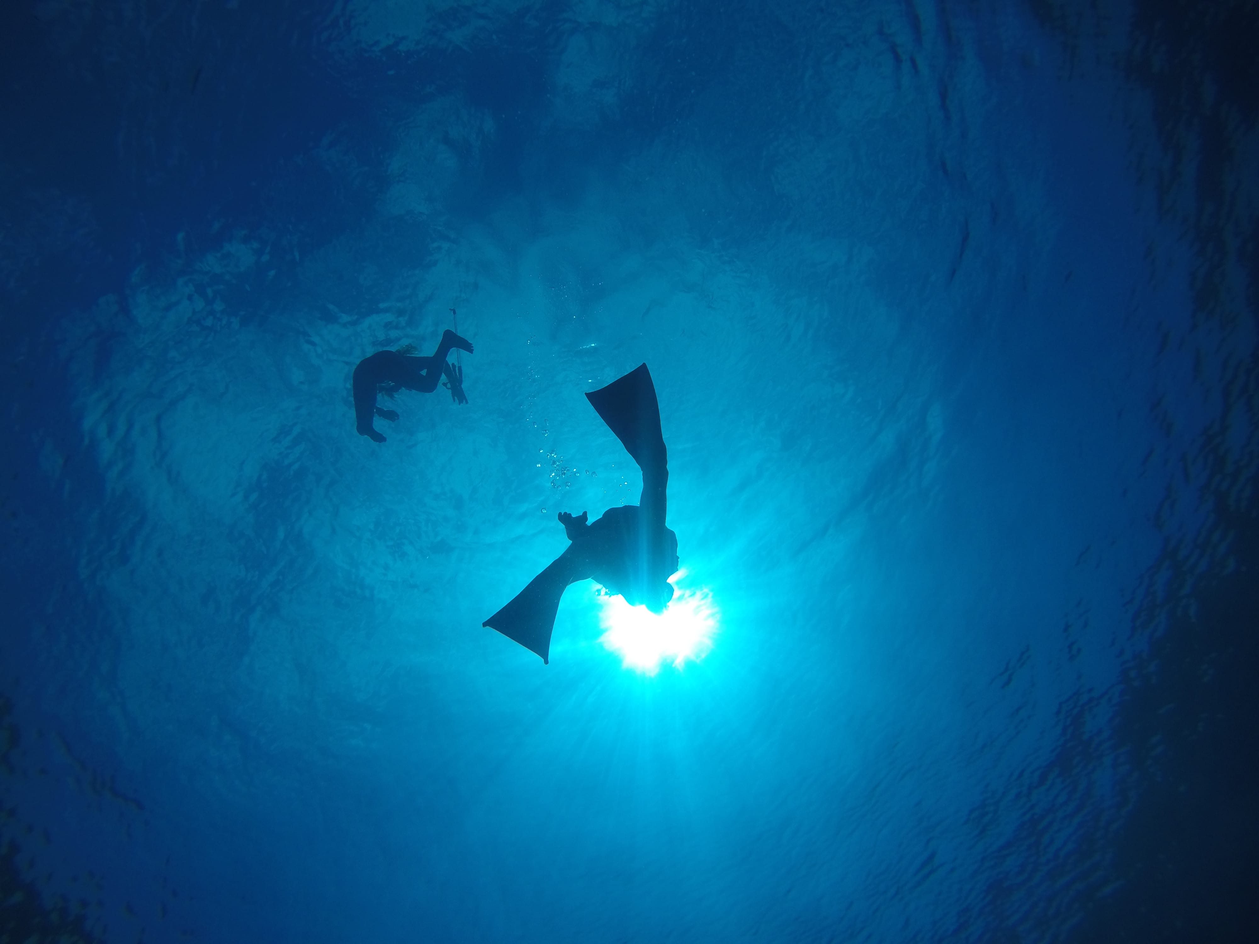 Low angle view of man swimming in sea